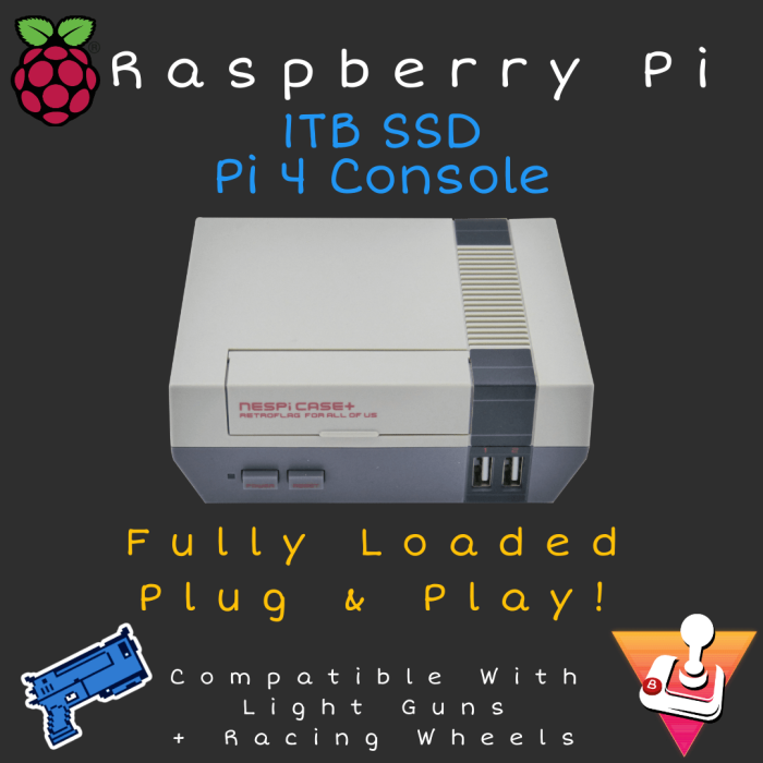 Raspberry discount game console